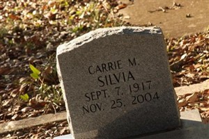 Carrie M Silvia Carrie M Silvia