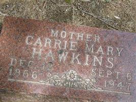 Carrie Mary Hawkins