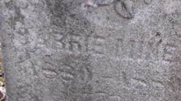 Carrie Miner