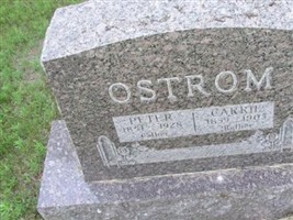 Carrie Ostrom Carrie Ostrom
