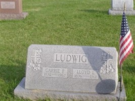 Carrie P. Ludwig