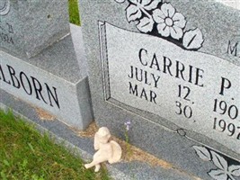 Carrie P Welborn Carrie P Welborn