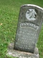 Carrie Sturdevant