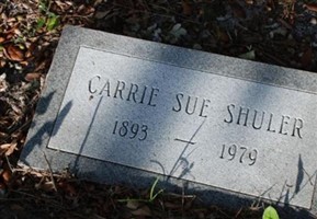 Carrie Sue Shuler Carrie Sue Shuler