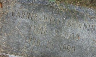 Carrie Wise Downing Carrie Wise Downing