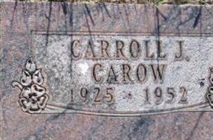 Carroll J Carow