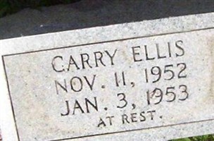 Carry Ellis Carry Ellis