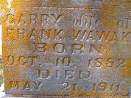 Carry Wawak (2383364.jpg) Carry Wawak (2383364.jpg)