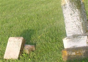 Cary Polk Hollis