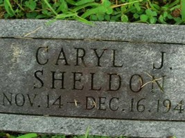 Caryl J Sheldon