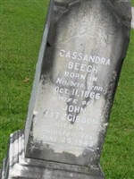 Cassandra Beech Fitzgibbon