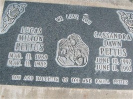 Cassandra Dawn Pettus Cassandra Dawn Pettus