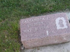 Cassandra I. Elliott