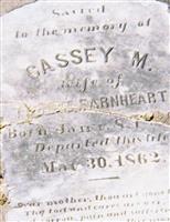 Cassey M. Earnheart