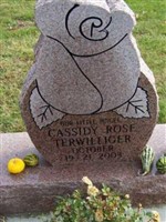 Cassidy Rose Terwilliger