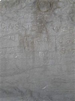 Cassie A Wertz