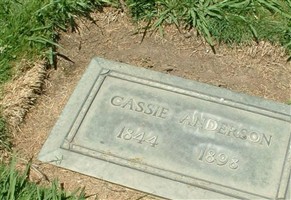 Cassie Anderson