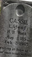 Cassie Buck