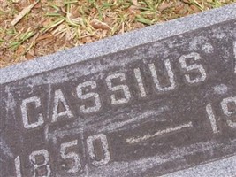 Cassius Aurelius Boone
