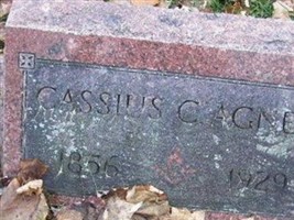 Cassius C Agnew