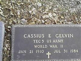 Cassius E Gelvin