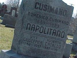 Cataldo Napolitano