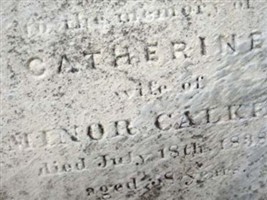 Catharine Calkins