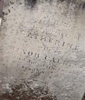 Catharine Calkins