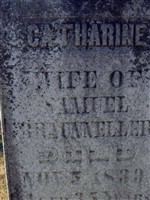 Catharine Crist Brauneller