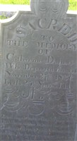 Catharine Danner