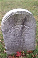 Catharine Davison Catharine Davison