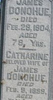 Catharine Donohue Catharine Donohue