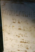 Catharine Donohue Catharine Donohue