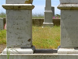 Catharine Donohue Catharine Donohue