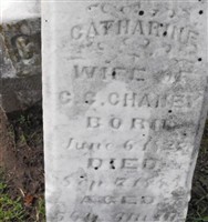Catharine Driskell Chaney Catharine Driskell Chaney