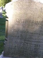 Catharine Flannery Catharine Flannery