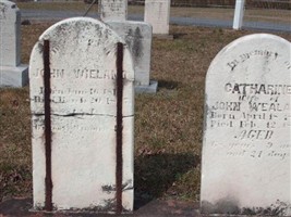 Catharine Kline Weiland