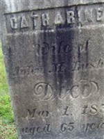 Catharine Lasher Catharine Lasher