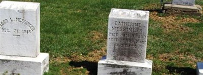 Catharine Messinger Catharine Messinger