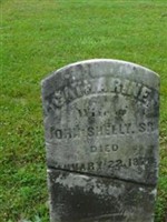 Catharine Shelly Catharine Shelly
