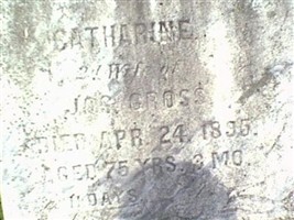 Catharine Stall Gross Catharine Stall Gross