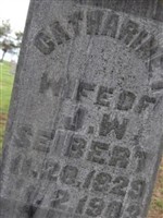 Catharine Temanda Groves Seibert Catharine Temanda Groves Seibert