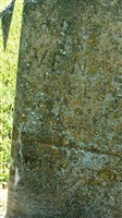 Catharine Venable