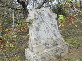 Catharine Wertz