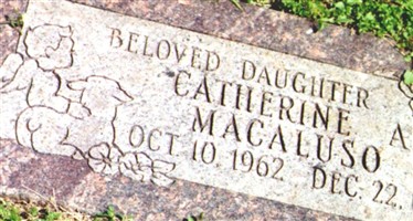 Catherine A. Macaluso Catherine A. Macaluso