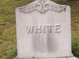 Catherine Aldrich White Catherine Aldrich White