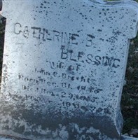 Catherine B Blessing Brecht Catherine B Blessing Brecht