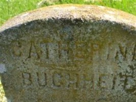 Catherine Buchheit Catherine Buchheit