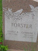 Catherine C Forster