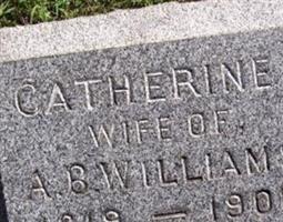 Catherine C Williams